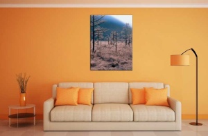 Tablou Canvas Copaci - Img 1