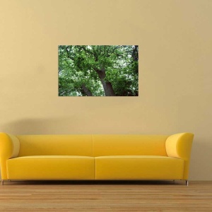 Tablou Canvas Copaci - Img 1