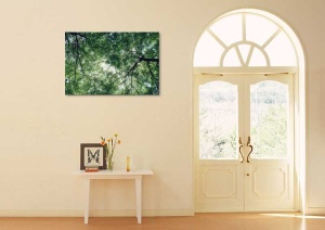 Tablou Canvas Copaci - Img 1