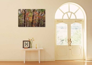 Tablou Canvas Copaci - Img 1
