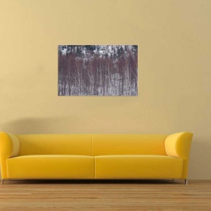 Tablou Canvas Copaci - Img 1