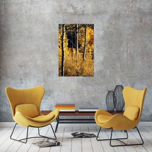 Tablou Canvas Copaci - Img 1