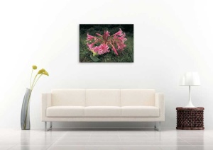 Tablou Canvas Crin - Img 1