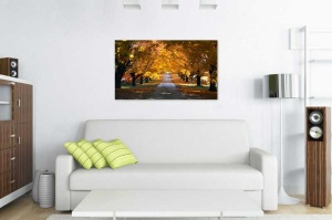 Tablou Canvas Drum prin padure toamna - Img 1
