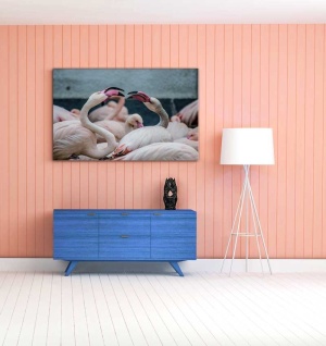 Tablou Canvas Flamingo - Img 1