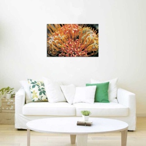 Tablou Canvas Floare Detaliu - Img 1
