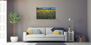 Tablou Canvas Floare Detaliu - Img 1