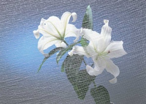 Tablou Canvas Floare - Img 2