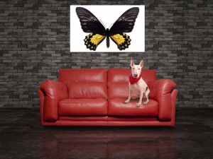 Tablou Canvas Fluturas - Img 1