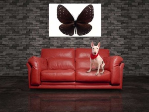 Tablou Canvas Fluturas - Img 1
