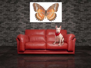 Tablou Canvas Fluturas - Img 1