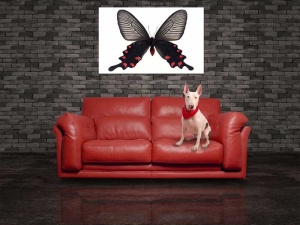 Tablou Canvas Fluturas - Img 1