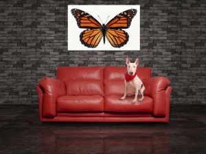 Tablou Canvas Fluturas - Img 1