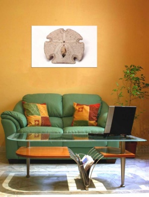 Tablou Canvas Fosila - Img 1