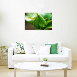 Tablou Canvas Frunza - Img 1