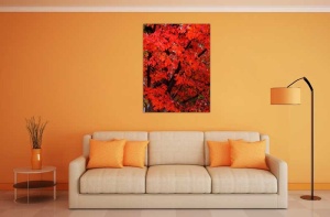 Tablou Canvas Frunze rosii - Img 1