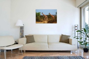 Tablou Canvas Girafe - Img 1