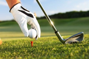 Tablou Canvas Golf - Img 2