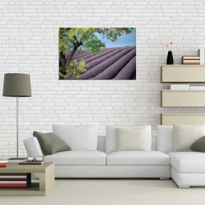 Tablou Canvas Levantica - Img 1