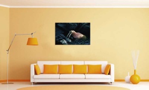 Tablou Canvas Morsa - Img 1