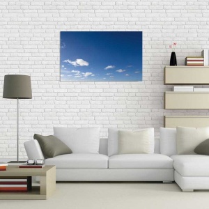 Tablou Canvas Nori Albi pe Cer - Img 1