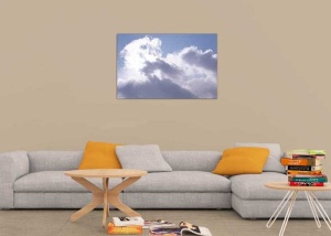 Tablou Canvas Nori Albi pe Cer - Img 1