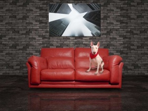 Tablou Canvas Oras Alb-Negru - Img 1