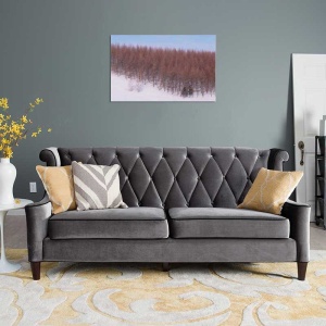 Tablou Canvas Padure iarna - Img 1