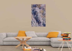 Tablou Canvas Padure iarna - Img 1