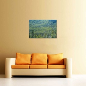 Tablou Canvas Padure - Img 1
