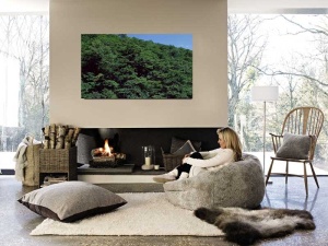 Tablou Canvas Padure - Img 1