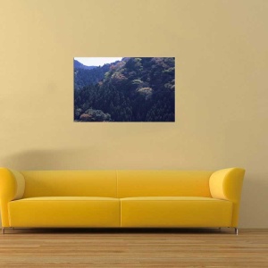 Tablou Canvas Padure - Img 1
