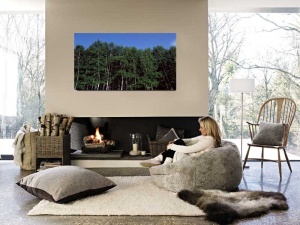 Tablou Canvas Padure - Img 1
