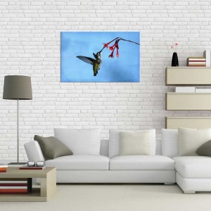 Tablou Canvas Pasarea Colibri - Img 1