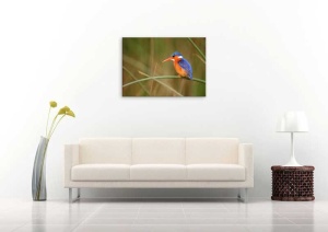 Tablou Canvas Pasare - Img 1