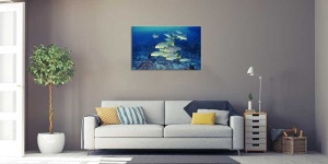 Tablou Canvas Pesti - Img 1