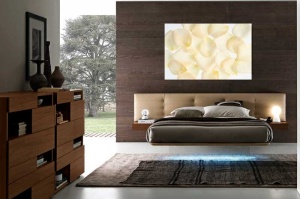 Tablou Canvas Petale de Floare