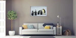 Tablou Canvas Pinguini - Img 1