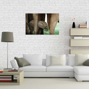 Tablou Canvas Pui de Elefant