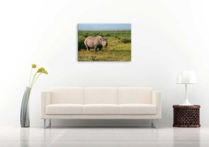 Tablou Canvas Rinocer - Img 1