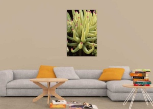 Tablou Canvas Subacvatic - Img 1
