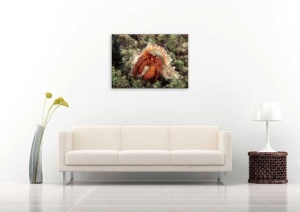 Tablou Canvas Subacvatic - Img 1