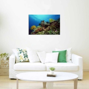 Tablou Canvas Subacvatic - Img 1