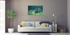 Tablou Canvas Subacvatic - Img 1