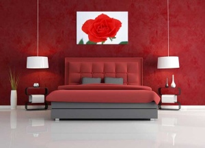 Tablou Canvas Trandafir rosu - Img 1