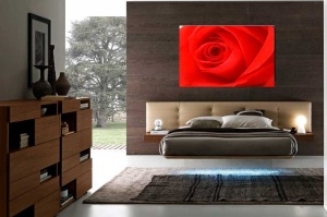 Tablou Canvas Trandafir rosu - Img 1