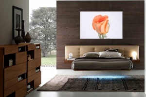 Tablou Canvas Trandafir - Img 1