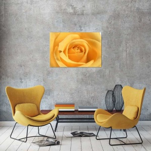 Tablou Canvas Trandafir - Img 1