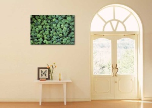 Tablou Canvas Trifoi - Img 1