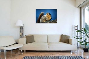 Tablou Canvas Veverita - Img 1